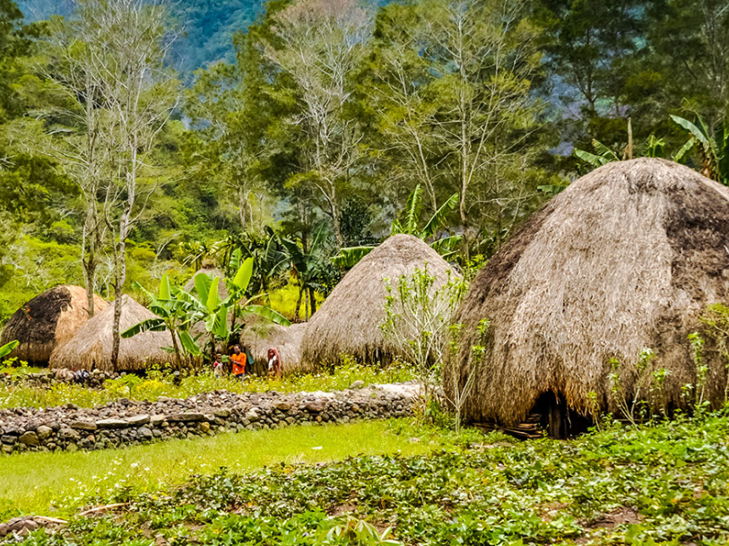 Macam-Macam Rumah Adat Papua Barat
