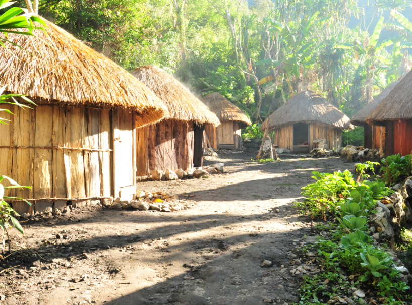 Rumah Adat Honai Papua Barat