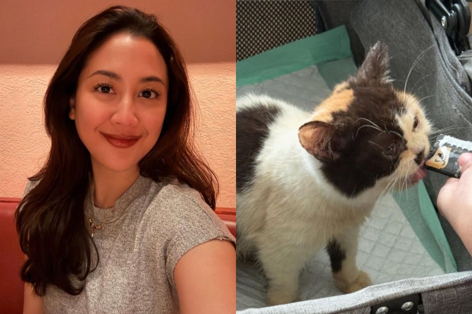 Sherina Munaf Turun Tangan Selamatkan Kucing dari Rumah Uya Kuya