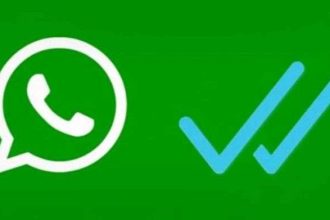 Chat WhatsApp Dibaca Tapi Tidak Ada Centang Biru