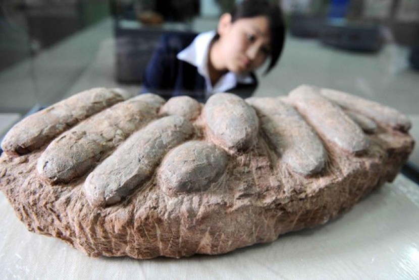 Fosil Telur Dinosaurus Berusia 85 Juta Tahun
