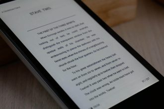 Moaan InkPalm Mini Plus 2