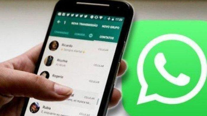 Cara Mengirim Pesan WA Tanpa Kuota