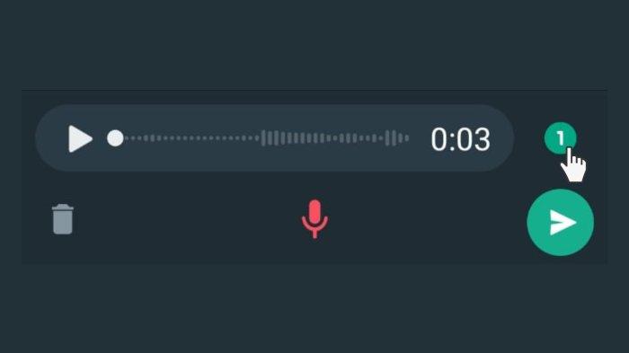 Mengubah Suara Saat Voice Note WA Tanpa Aplikasi
