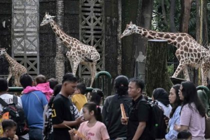 Night at the Ragunan Zoo