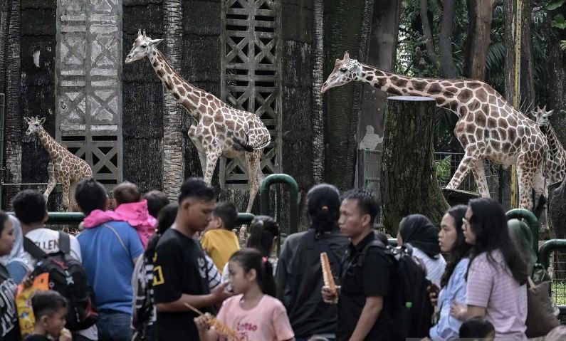 Night at the Ragunan Zoo